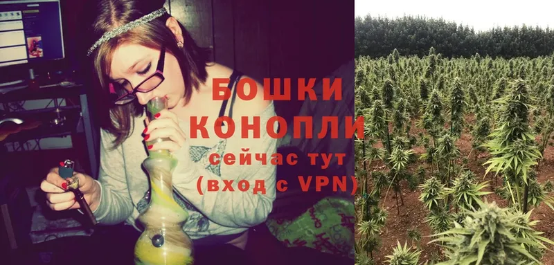 наркошоп  Курлово  Бошки Шишки LSD WEED 